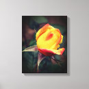 Suche nach rote rosen leinwandbilder Botanisch
