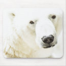 Suche nach eisbär mousepads Natur