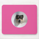 Suche nach lachende mousepads Tier