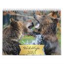 Suche nach des wilden tieres kalender Wild lebende tiere