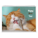 Suche nach lustige katzen kalender Kätzchen