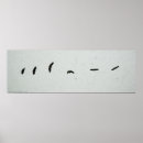 Suche nach adler flug poster Glatze