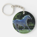 Suche nach stallion accessoires Reiter