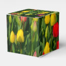 Suche nach tulpe papier geschenk box Frühling