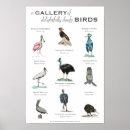 Suche nach erstaunlich poster Vögel