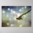 Suche nach höhe poster Vogelvogel