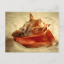 Suche nach verzieren postkarten Strand