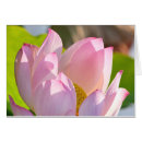 Suche nach morgenlicht Natur