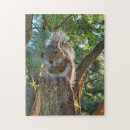 Suche nach eichhörnchen puzzle Natur