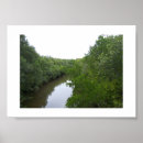 Suche nach green river poster Bäume