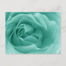 Suche nach das green postkarten Rose