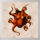 Suche nach cephalopod poster Oktopus