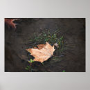Suche nach gefallenes blätter poster Herbst