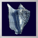 Suche nach indigo poster Coastal