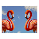 Suche nach exotische vögel poster Tropisch