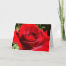 Suche nach helle rote rose karten Blume
