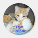 Suche nach sheldon Katze