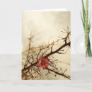 Suche nach nostalgie karten Blume