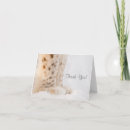 Suche nach luchs karten Katze