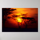 Suche nach afrikanische landschaft poster Sonnenuntergang