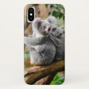 Suche nach australien iphone hüllen Koala