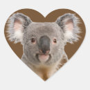 Suche nach australischer koala aufkleber Niedlich