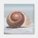 Suche nach st petersburg florida magnete Strand
