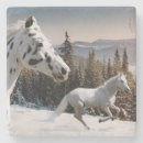 Suche nach appaloosa untersetzer Laufen
