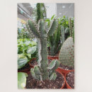 Suche nach kaktus puzzle Pflanzen