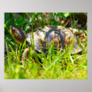 Suche nach kasten kunst Druck