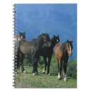 Suche nach mustang kleine notizbücher Foto