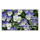 Suche nach stiefmütterchen visitenkarten Blumenreich