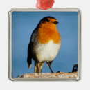 Suche nach brüste ornamente Vogelvogel