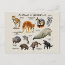 Suche nach tier postkarten australien