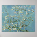 Suche nach van gogh mandelblüte poster Vincent