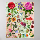 Suche nach blumenillustrationen poster Naturkunst