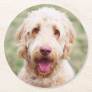 Suche nach lächelnder hund untersetzer Welpe