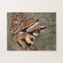 Suche nach pilz puzzle Für sie