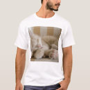 Suche nach tierthemen tshirts Katze