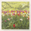 Suche nach tulpen untersetzer Bunt