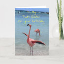 Suche nach lustiger flamingo karten Für sie/ihn