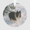 Suche nach husky ornamente Spaß