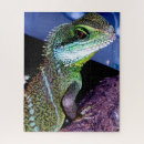 Suche nach eidechse puzzle Puzzlespiel