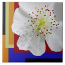 Suche nach fin fliesen Blau