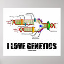 Suche nach genetik poster Dna