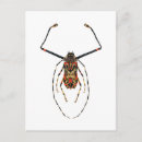 Suche nach beetle poster Entomologie
