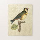 Suche nach vogel puzzle Ast