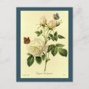 Suche nach vintage floral postkarten Florist