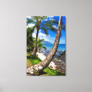 Suche nach kauai leinwandbilder Küste