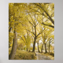 Suche nach salzsee poster Fotografie